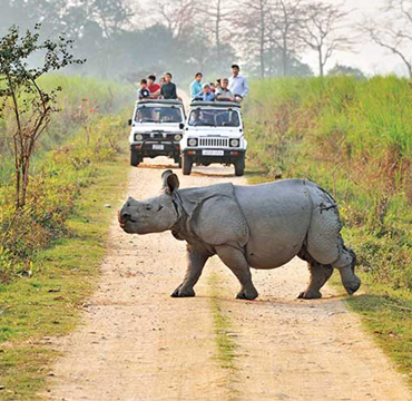 Assam Meghalaya Tour Package